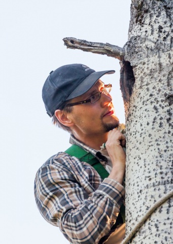 Palokärjen pesällä Palokärjen pesällä