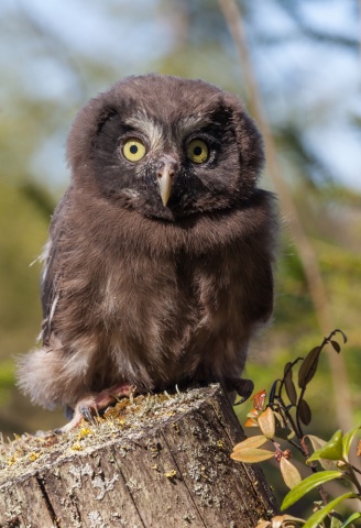 _MG_6696.jpg _MG_6696.jpg