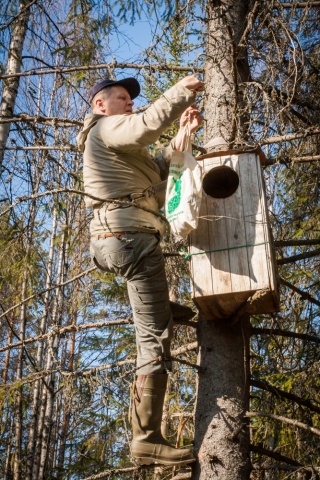 Painon mittaus Painon mittaus