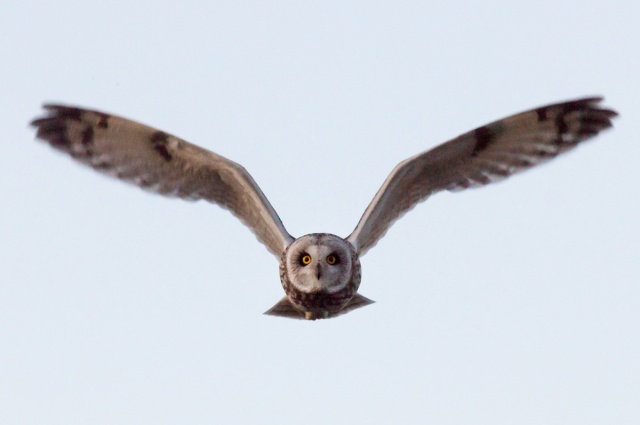 _MG_6256-2.jpg _MG_6256-2.jpg