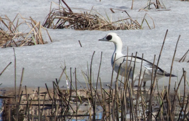 _MG_5210.jpg _MG_5210.jpg